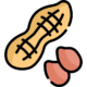 Nuts